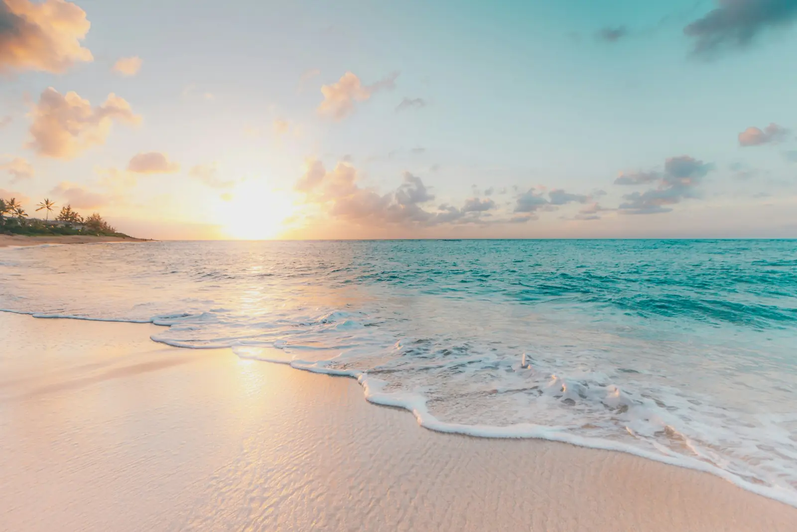 A sandy beach meeting a blue ocean