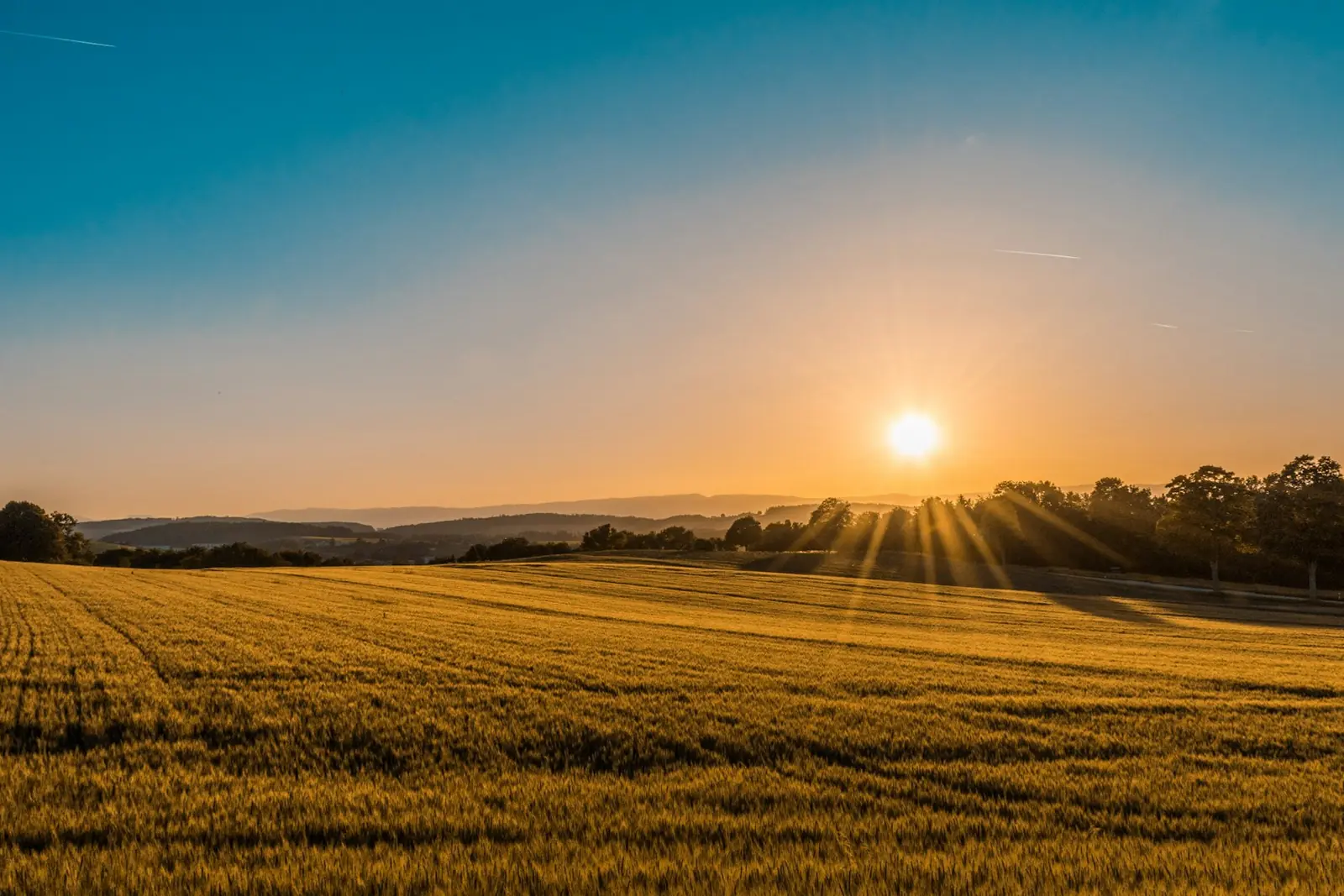 Open prairie farmland under a wide evening sky
